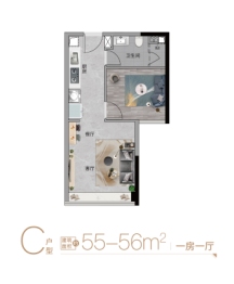 珠江未来城1室1厅1卫建面55.00㎡