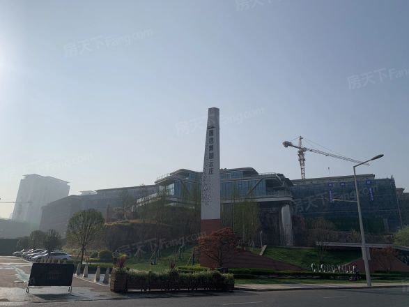 德信麓湖云庄别墅实景图