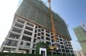 春光里实景图