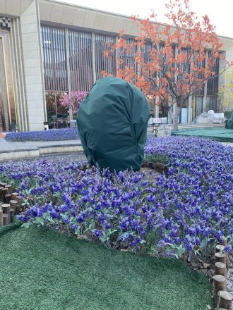 华萃西山别墅实景图