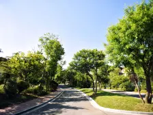 上下两层带院子,带车位。到储藏室