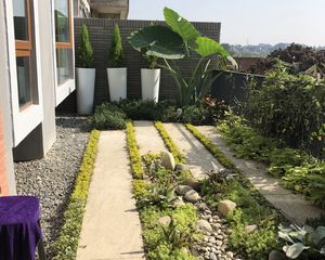 华侨城安仁里3室2厅东西