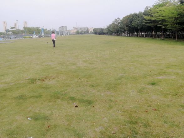 【自由人花园】| 广州市花都区自由人花园五街29号(自由人花园五街29