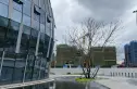 国宾上林栖实景图