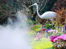 龙兴 桥达璞樾鎏云二房100万