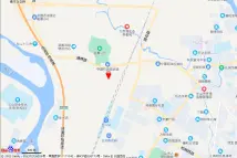 西网青江1981电子地图