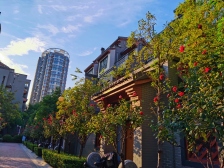 拍了拍你 标准一室一厅 户型方正