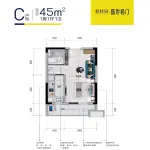 45㎡户型