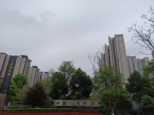 中建天府公馆二期2室1厅西南
