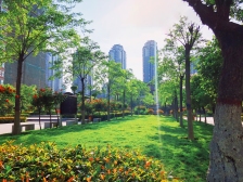 亚星江南小镇 带电梯 商品住宅 高楼层采光充足 朝向好