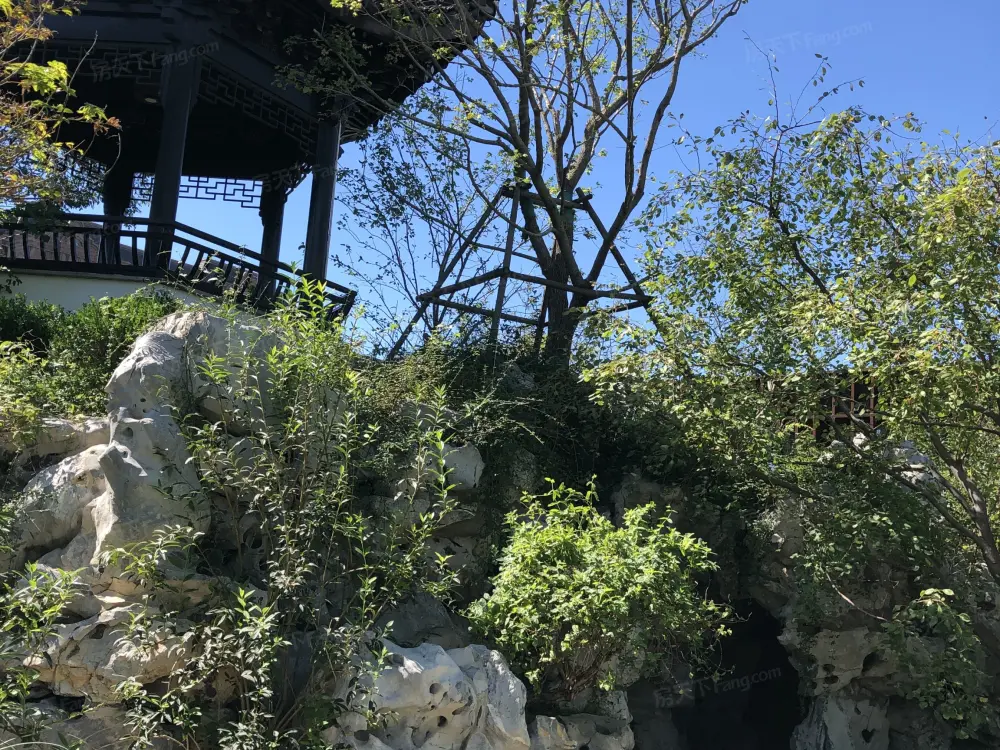 实景图