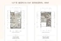 C2户型319.54一、二层