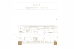 IFCC中天健环球中心2室2厅1厨1卫建面60.25㎡