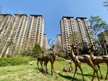 中新·锦绣天地｜观山乐水社区环境实景