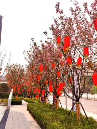 建工翰林华庭实景图