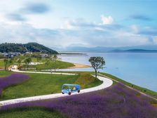 卖点楼层好户型好环境优美度假很适合