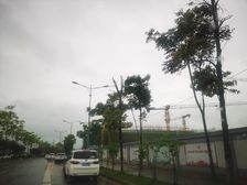 全新装修未入住百万装修小区中间位置不靠路