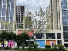 湖景12 2室2厅 南