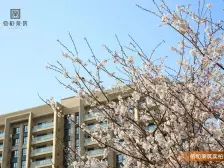 佰和荣筑 一梯一户 打头房 纯毛坯 随心装修 随时可看