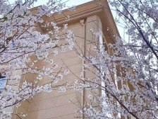 佰和荣筑 4室2厅 东 南 北