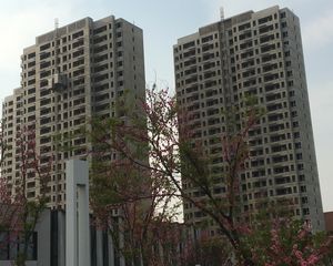 中核和兴府价格可议三室两厅央企开发央企物业