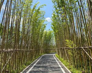 北京建工花汀集2室2厅西南