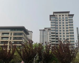 中交泰合郡3室2厅南北