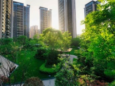 公园九里 现代装修 对中庭 三房两厅两卫加一衣帽间