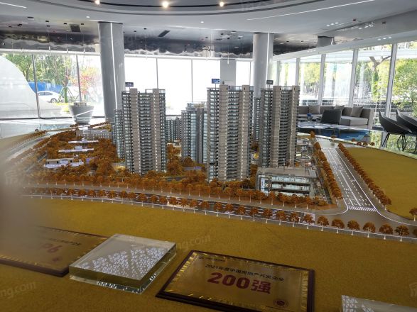 振兴·湖境花园商住楼实景图