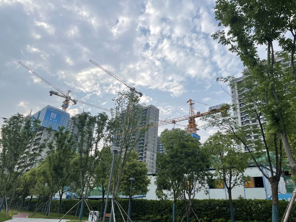 小区相关图
