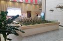华安翡翠名郡实景图