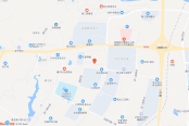 电子地图