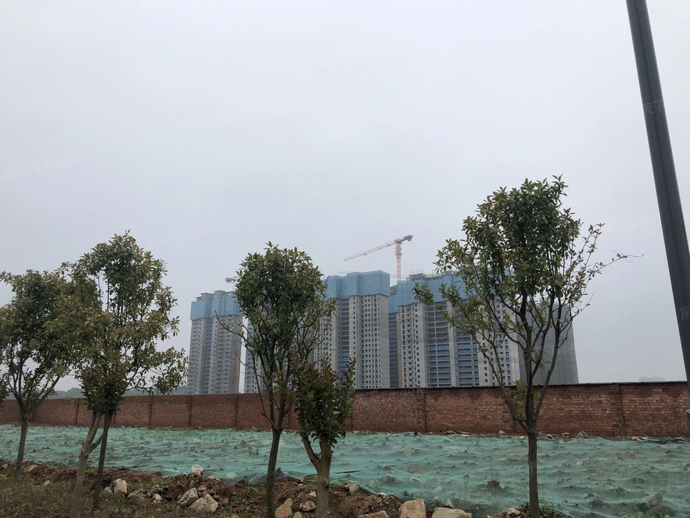 小区相关图
