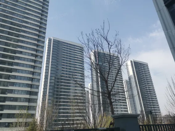 海信灵山湾天玺