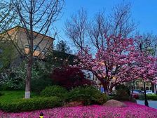 鲁能格拉斯小镇4室2厅南北