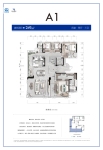 A1户型249平米