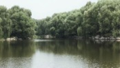 旺兴湖公园