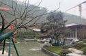 保利逸都和府实景图