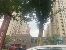 金汇一品实景图1