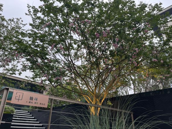 旭辉天府未来中心.江山院别墅实景图