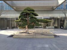 房东诚心出售,价格可以谈,楼层很好,随时可以看房