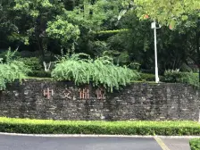 龙洲湾 中交锦悦御蓝湾别墅五房200万