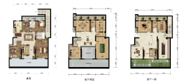 公园十七区3室2厅1厨2卫建面295.00㎡