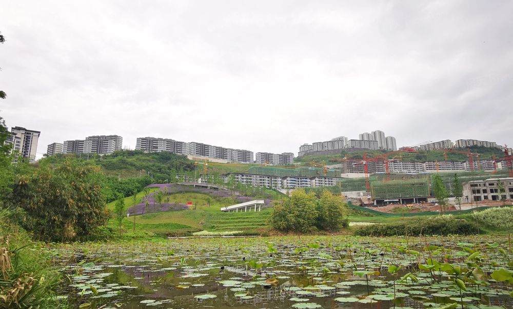 礼嘉江湾华侨城溪山集正三房双卫公园环绕诚心出售