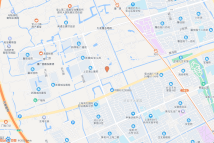 中建·熙江岳电子地图