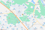 电子地图