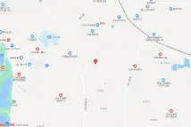 东部新区三岔街道国兴村1组，板桥村12组电子地图