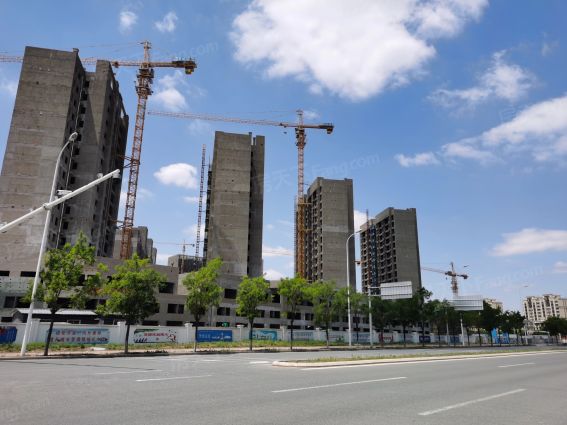 卓越和悦怎么样:一共有4个户型,面积在8.-青岛房天下楼盘点评