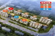 高密碧桂园御珑府潍坊市——高密碧桂园御珑府