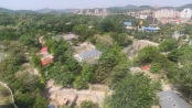 项目旁南山公园